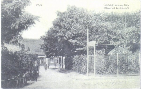 1913. A Műcsarnok kávéház kerthelyisége. A kávéház bejáratánál Hornung Béla (?), a bérlő